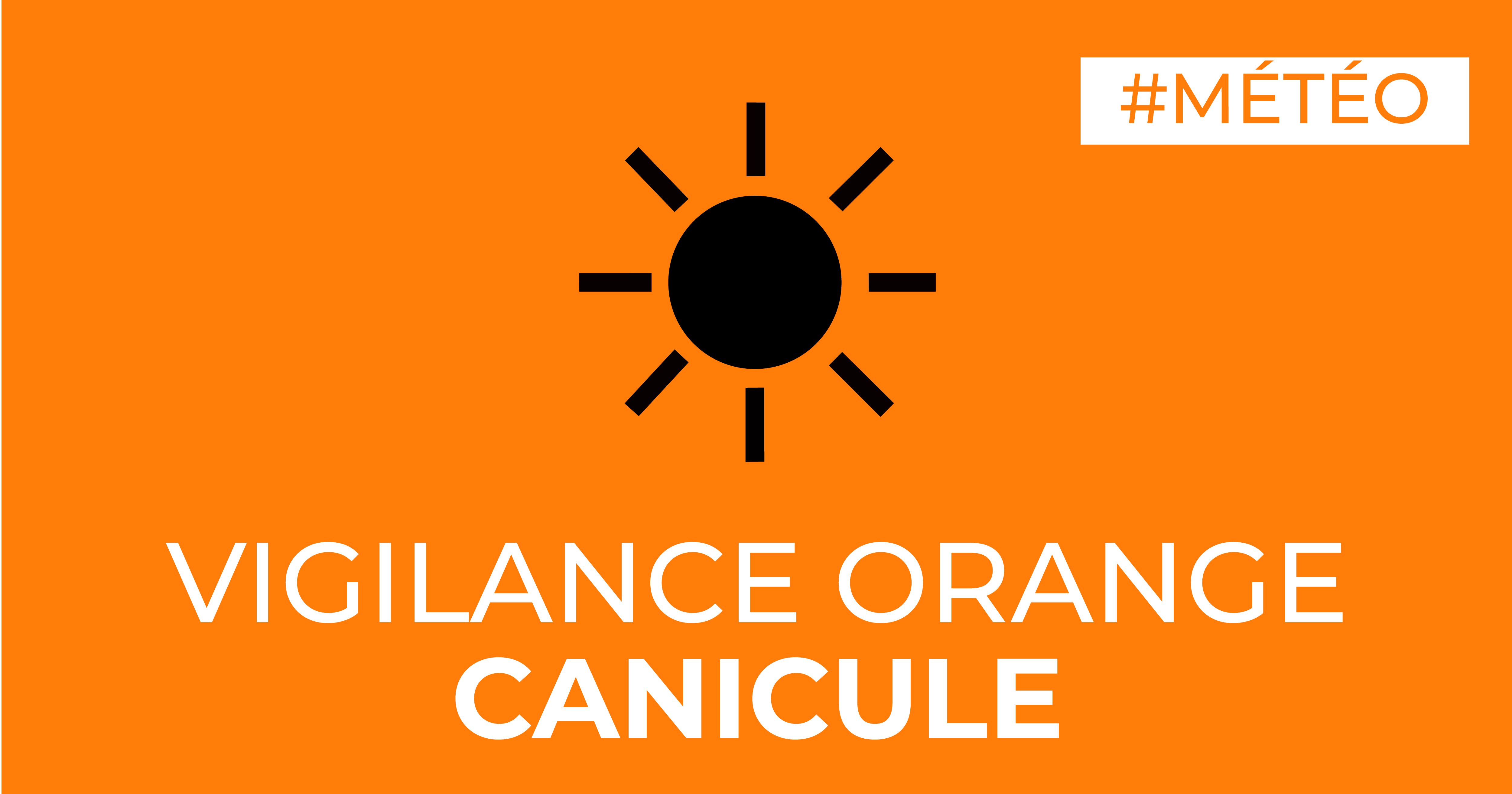-_Vigilance_Orange