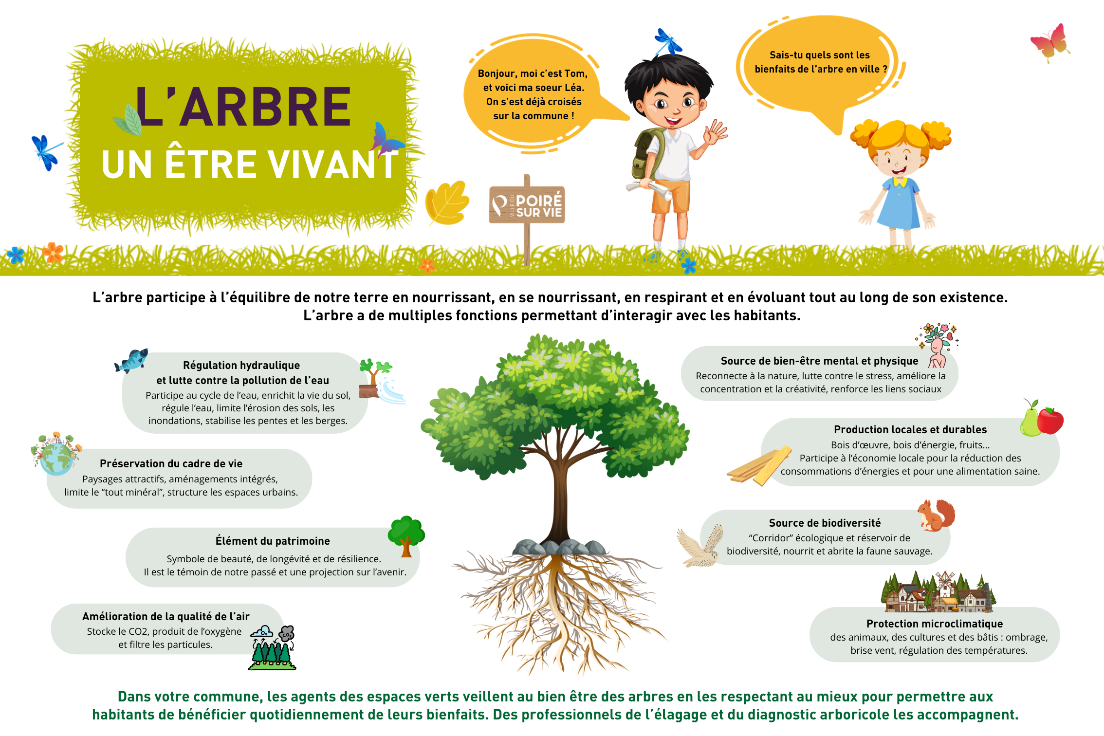 arbre-etre vivant
