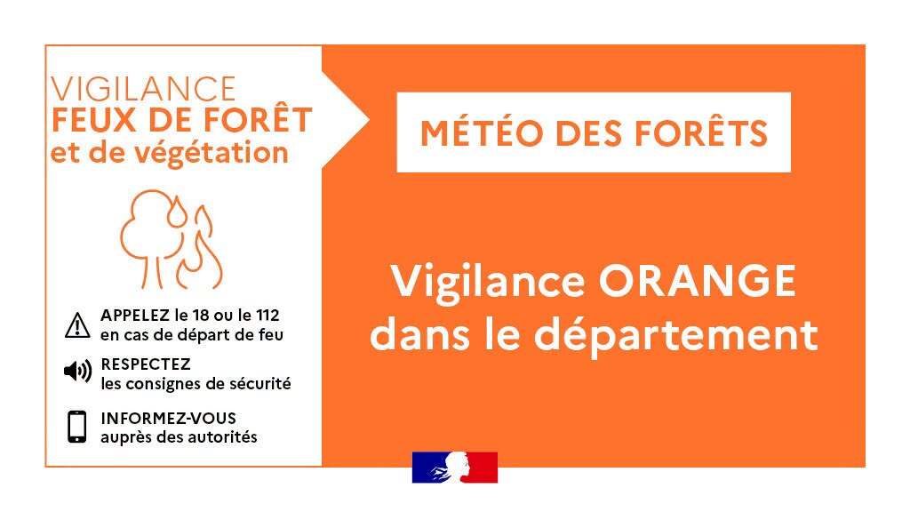 orange feux de forêts