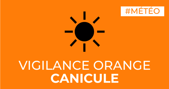 -_Vigilance_Orange