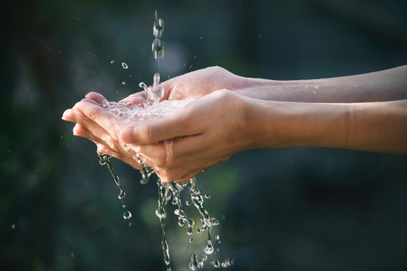 AdobeStock_309750737