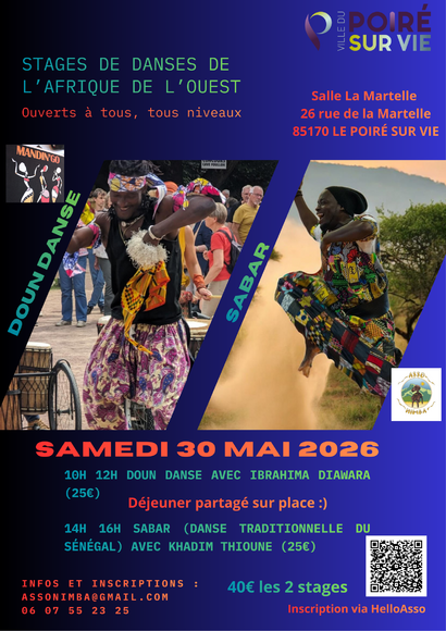 Affiche Festival musique electro Moderne photo bleu et rose