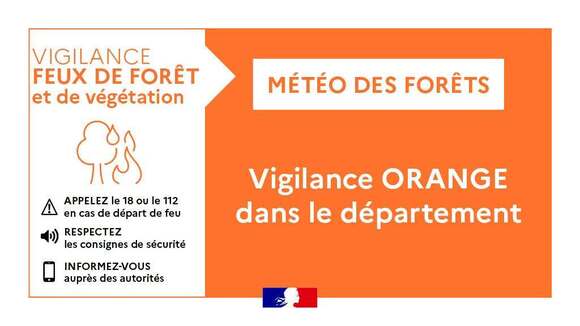 orange feux de forêts